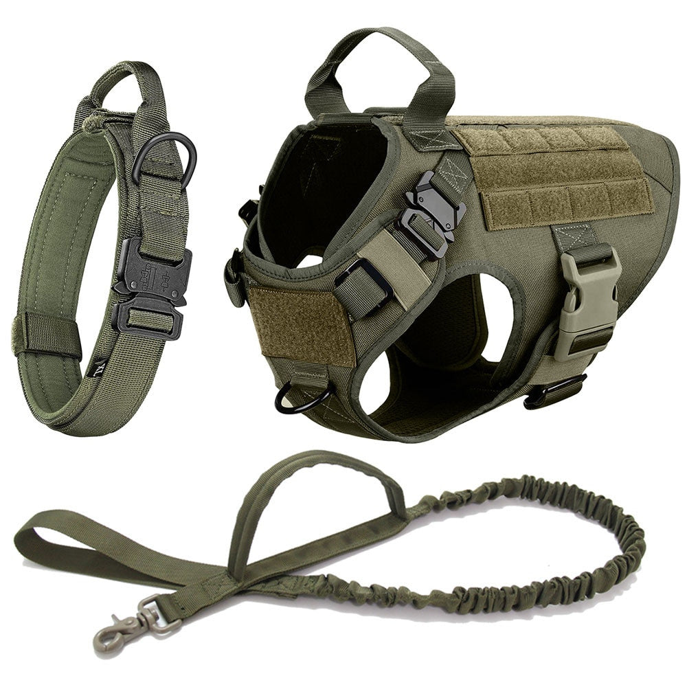 Large Dog Harness Set