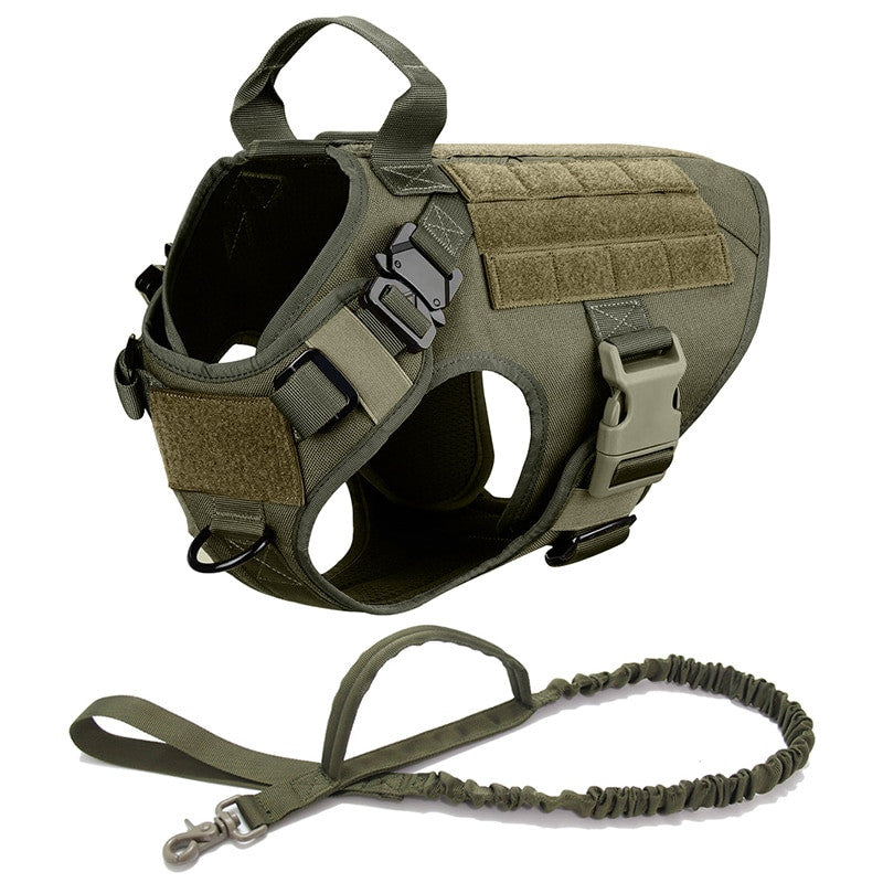 Large Dog Harness Set