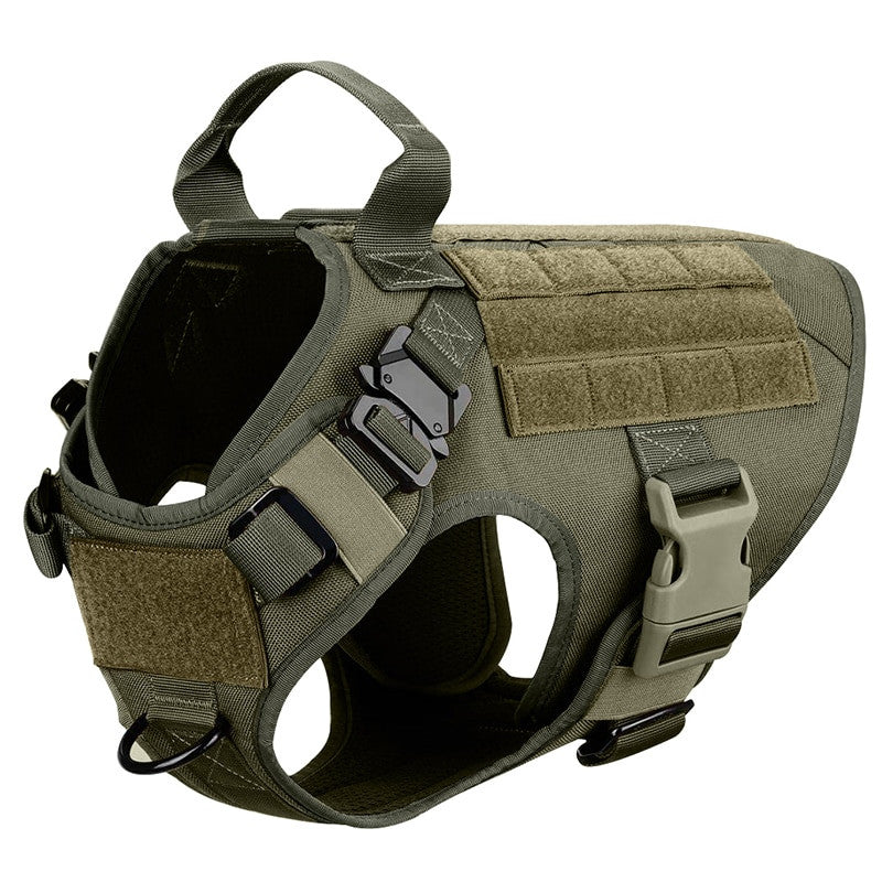 Large Dog Harness Set